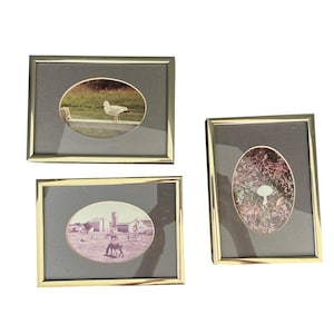 May include: Three framed pictures with gold-colored metal frames. Each picture has an oval-shaped image set against a gray background. The images depict a seagull, a rural scene with horses, and a mushroom.
