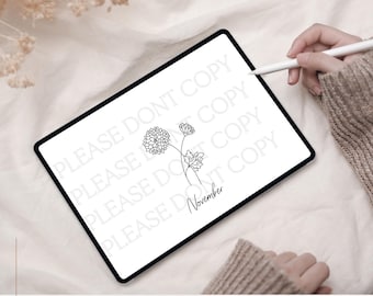 Birth Month Flower November, Birth Flower Tattoo design, Birth Flower, Chrysanthemum Tattoo Design, Birth Flower Tattoo Bouquet, Flower