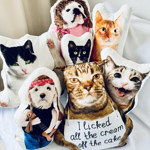 Gifts For Pet Owner, Pet Pillow, Custom Pet Cushion, Pet Ugly Pillow, Pet Shaped Pillow, Silly Pet Pillow, Pet Lover Gifts, Cat Pillow
