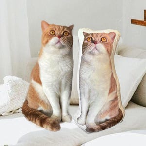 Custom Cat Pillow, Personalized Cat Cushion, Cat Ugly Pillow, Cat Shaped Pillow, Silly Cat Pillow, Cat Lover Gift, Gifts For Cat Parent