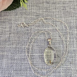 Könnte beinhalten: Silberfarbene Halskette mit einem transparenten, ovalen Anhänger. Der Anhänger enthält eine zarte, getrocknete Pflanzenprobe. Die Kette ist im feinen Gliederstil gehalten, und der Verschluss ist sichtbar. Die Halskette liegt auf einer grau strukturierten Oberfläche.