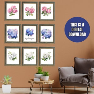 Set of 9 Watercolor Hydrangea Prints, Blue Hydrangea, Pink Hydrangea Flowers Printable, White Watercolor Floral Printable Art Print, Digital