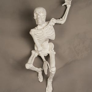 以下が含まれることがあります： 腕を上げた、口を少し開けた白いプラスチック製の骸骨の置物。骸骨は足を曲げて座り、足先は下を向いている。