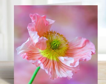 Blank Greeting Card with Poppy Photograph, Art Lover Gift, Art Greeting Card, Original Photo, Painterly Photography, Pink Poppy Flower