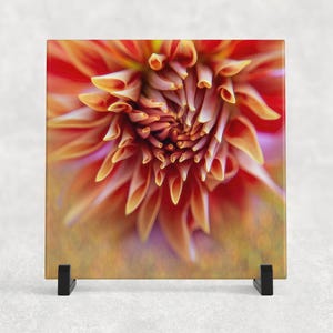 May include: Close-up of a vibrant orange and pink dahlia flower. The petals are arranged in a spiral pattern, creating a sense of movement and depth. The flower is in focus, while the background is blurred.