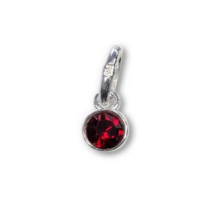 May include: A silver charm with a round, deep red gemstone. The charm has a small loop at the top for attachment to a bracelet or necklace. The gemstone is set in a silver bezel.