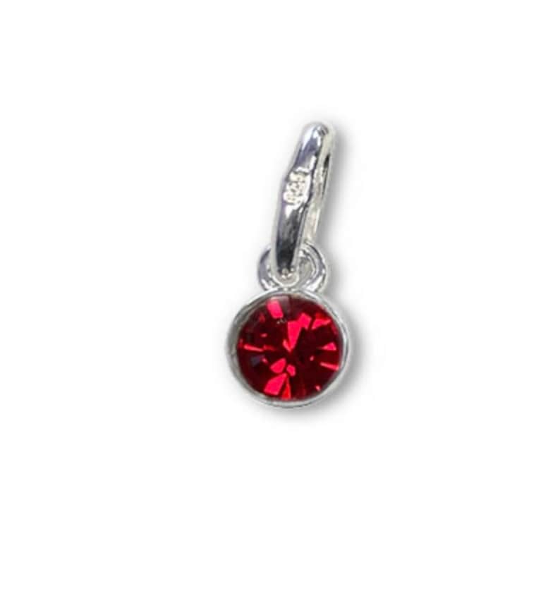 May include: A silver charm with a round, faceted, deep red gemstone. The charm has a small loop at the top for attaching to a bracelet or necklace. The gemstone is set in a silver bezel.