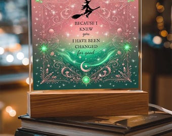 Plaque LED acrylique personnalisée « Changée pour de bon », cadeau pour amateur de musique inspiré de méchants
