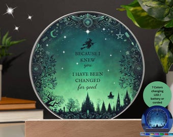 Plaque LED Wicked Inspired, cadeau de théâtre musical