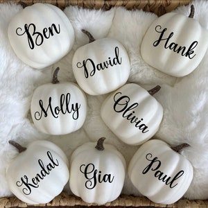 May include: Eight white pumpkins with black calligraphy names: Ben, Hank, David, Molly, Olivia, Kendal, Gia, and Paul. The pumpkins are arranged on a white faux fur surface.