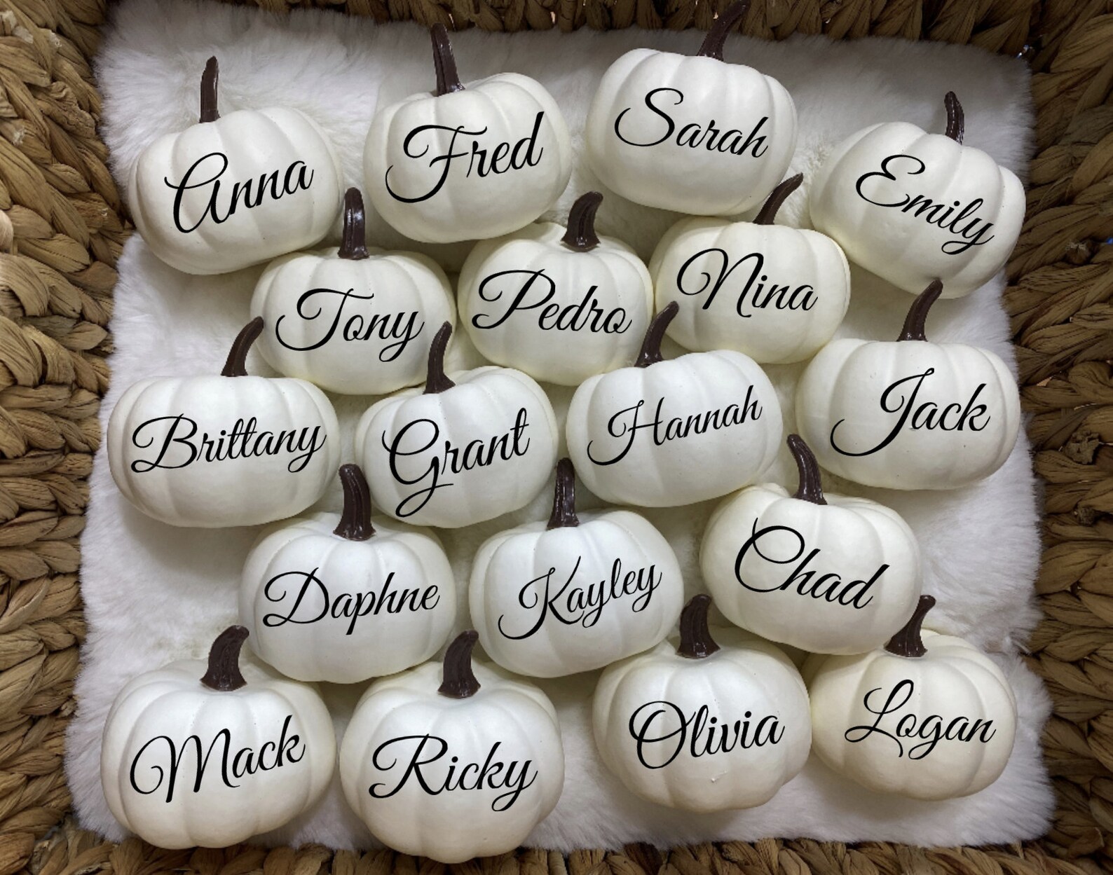 Personalized Pumpkin, Fall Wedding Decor, Custom White Pumpkin, Guest ...