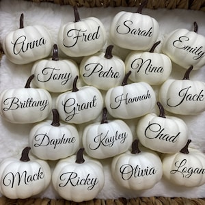 Personalized Pumpkin, Fall Wedding Decor, Custom White Pumpkin, Guest ...