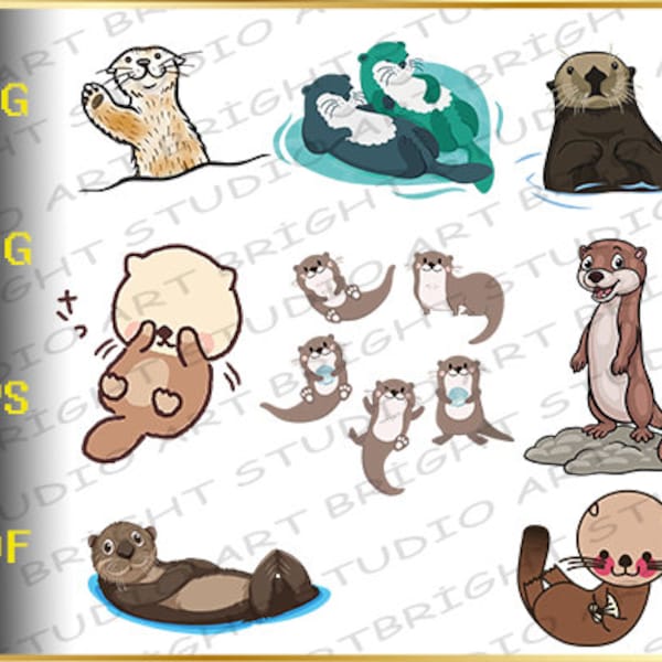 Baby Sea Otter - Etsy