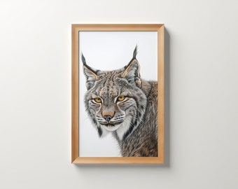 Canadian Lynx Cat, Wild cat Portrait, Minimalist stipple style Illustration, The Great White North, Wall Art, Digital Download