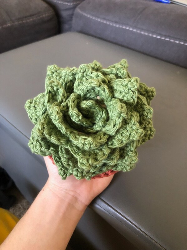 Succulent Crochet Coaster Plant Decoration Home Accessories Etsy Canada