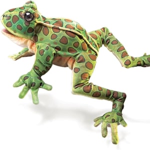 May include: Green and brown plush frog puppet with large eyes and a wide mouth. The frog has a spotted pattern and is posed with its legs outstretched.
