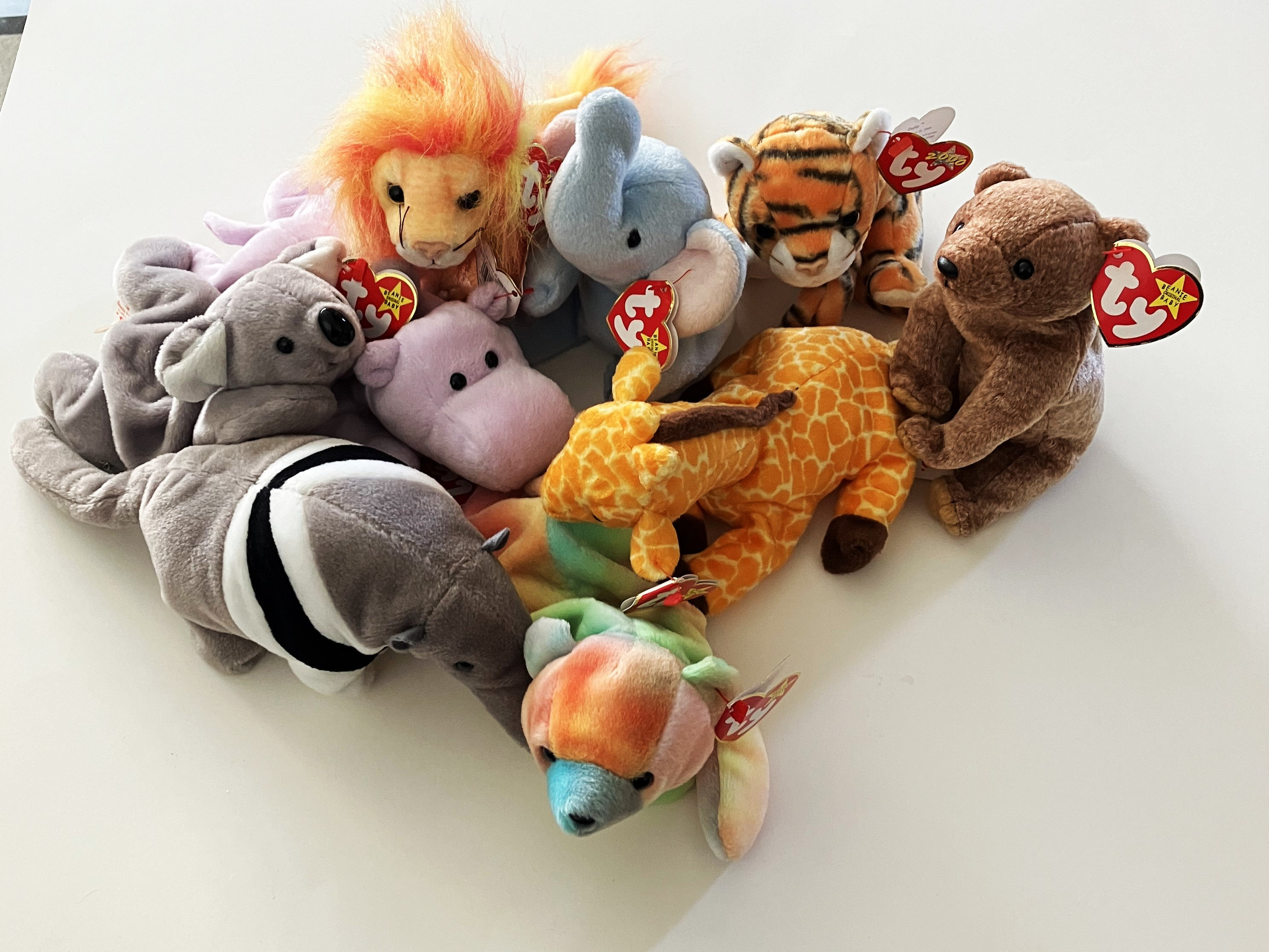 TY Beanie Baby - Choose From Wild Animals Assortment Shown (1997