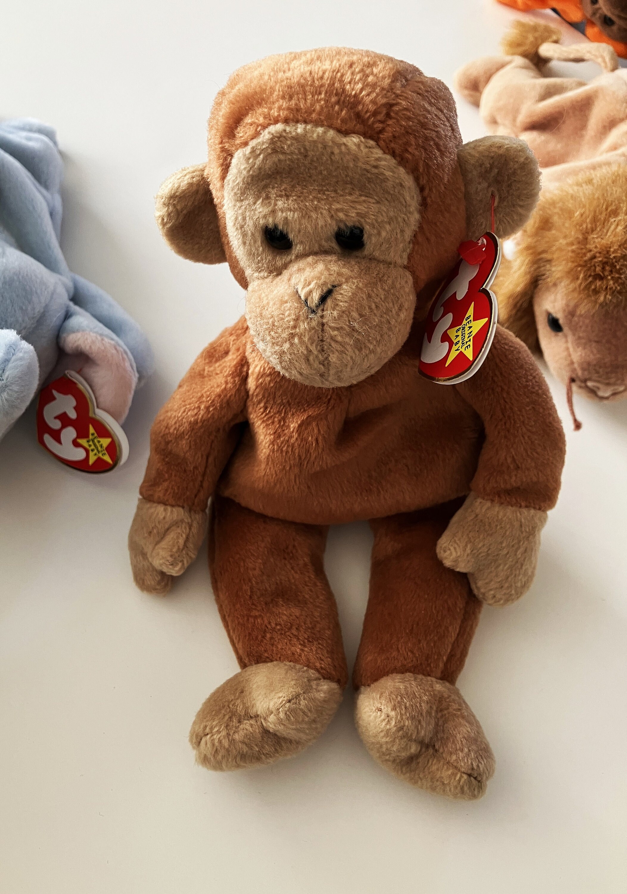 TY Beanie Baby - Choose From Wildlife Assortment Shown (1997
