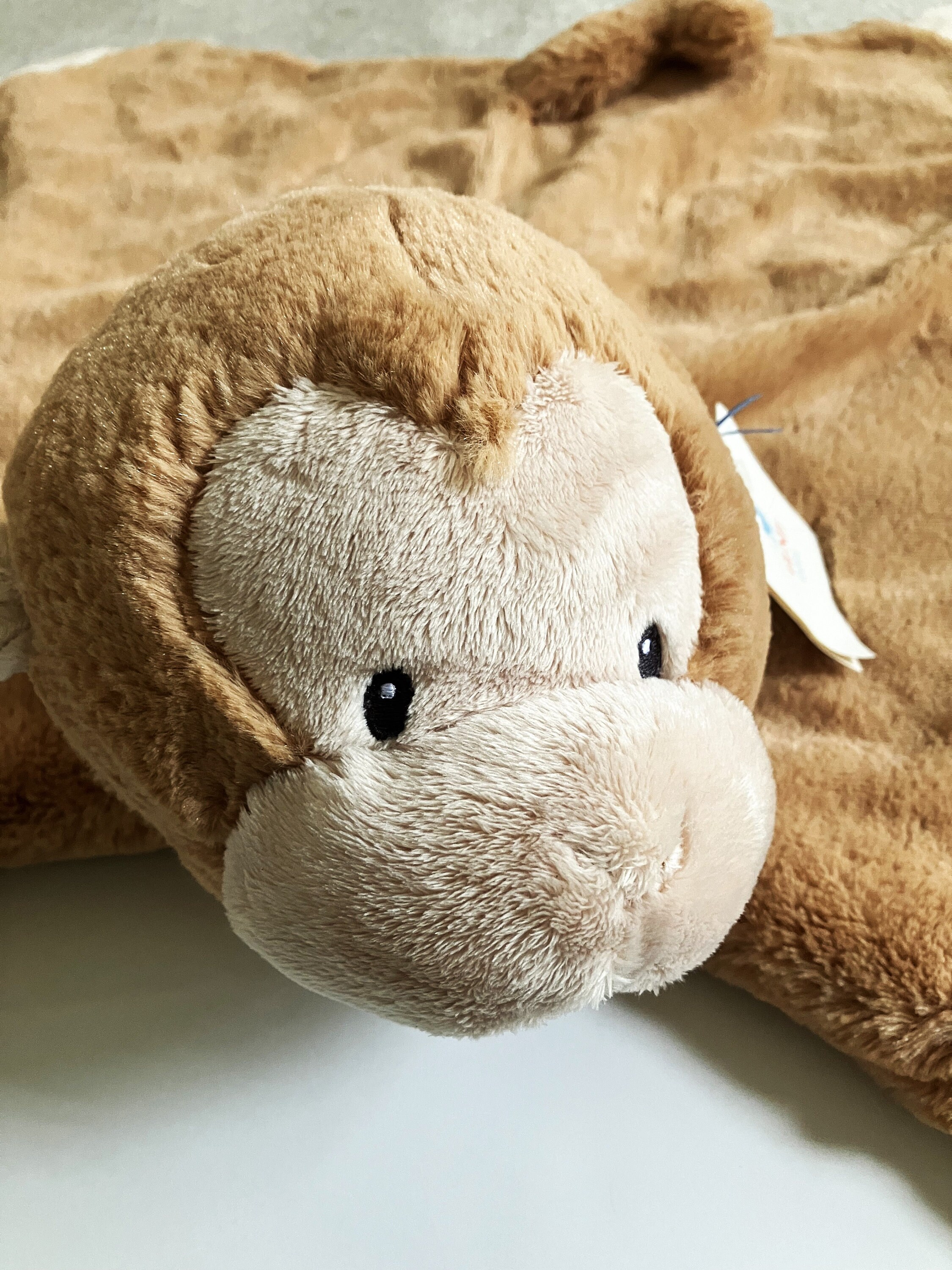 Gund comfy hotsell cozy personalized