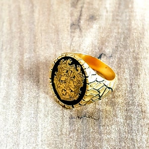 Family Crest Coat of Arms Custom Ring for Personalized Rings, Custom Ring with Personalized Gold and Silver, Desing for you by GoldArt