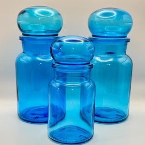 MCM Apothecary Blue Jars Set