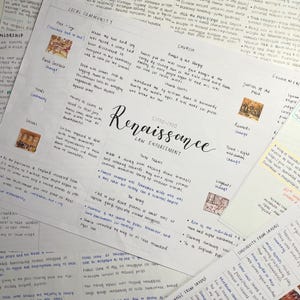 Op de afbeelding: Een verzameling handgeschreven notities op verschillende vellen papier, met details over de Renaissance-periode. De notities staan vol tekst en illustraties, met het woord "Renaissance" prominent weergegeven in cursief. De papieren zijn gerangschikt op een lichtgekleurd oppervlak.