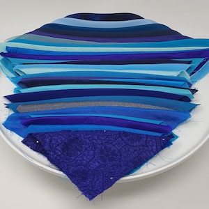 May include: A collection of blue fabric scraps arranged in a fan shape on a white plate. The fabric scraps are in various shades of blue, from light blue to dark blue. The fabric scraps are arranged in a gradient, with the lightest blue at the top and the darkest blue at the bottom.