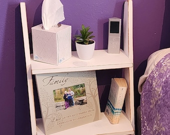 May include: White wooden ladder shelf with three shelves. The top shelf has a box of tissues, a small potted plant, and a remote control. The middle shelf has a framed picture with the words "Family Love Grows As It Passes From Generation To Generation" and a book. The bottom shelf has a framed family photo.