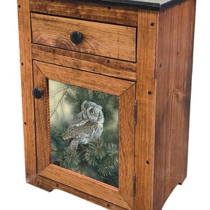 May include: A rustic wooden nightstand with a drawer and cabinet door. The cabinet door features a framed image of an owl perched on a pine branch. The nightstand has a black top and black knobs. The wood has a warm, natural finish.