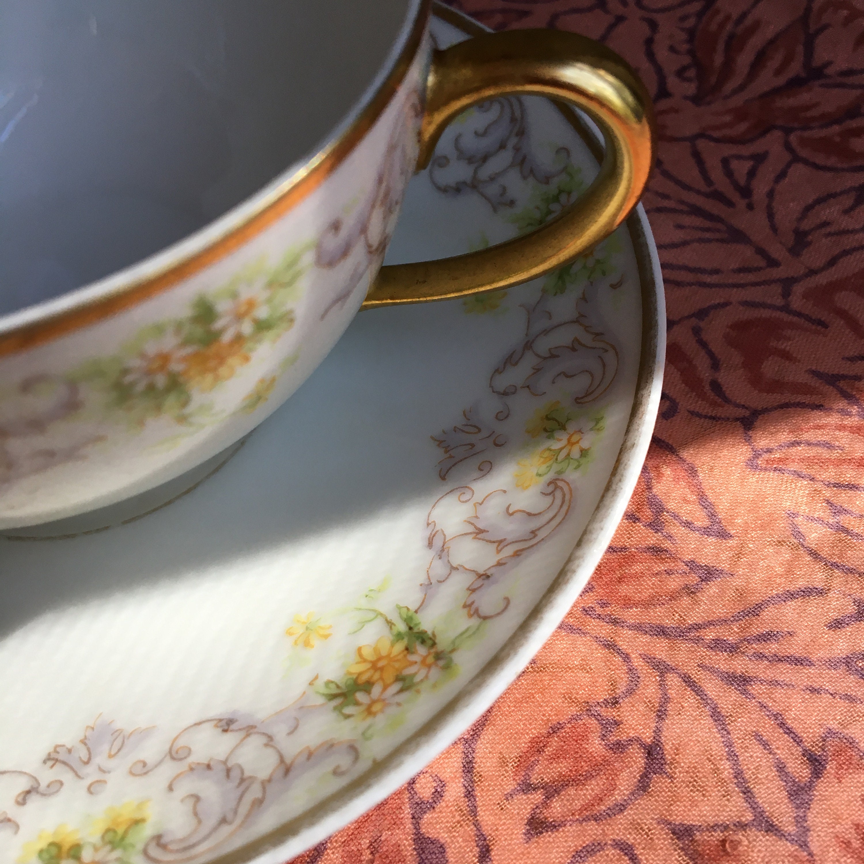 Vintage Bawo & Dotter Elite Works Cup and Saucer - Etsy