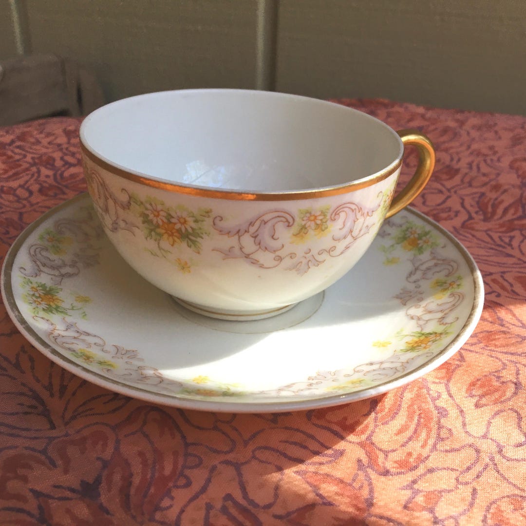 Vintage Bawo & Dotter Elite Works Cup and Saucer - Etsy
