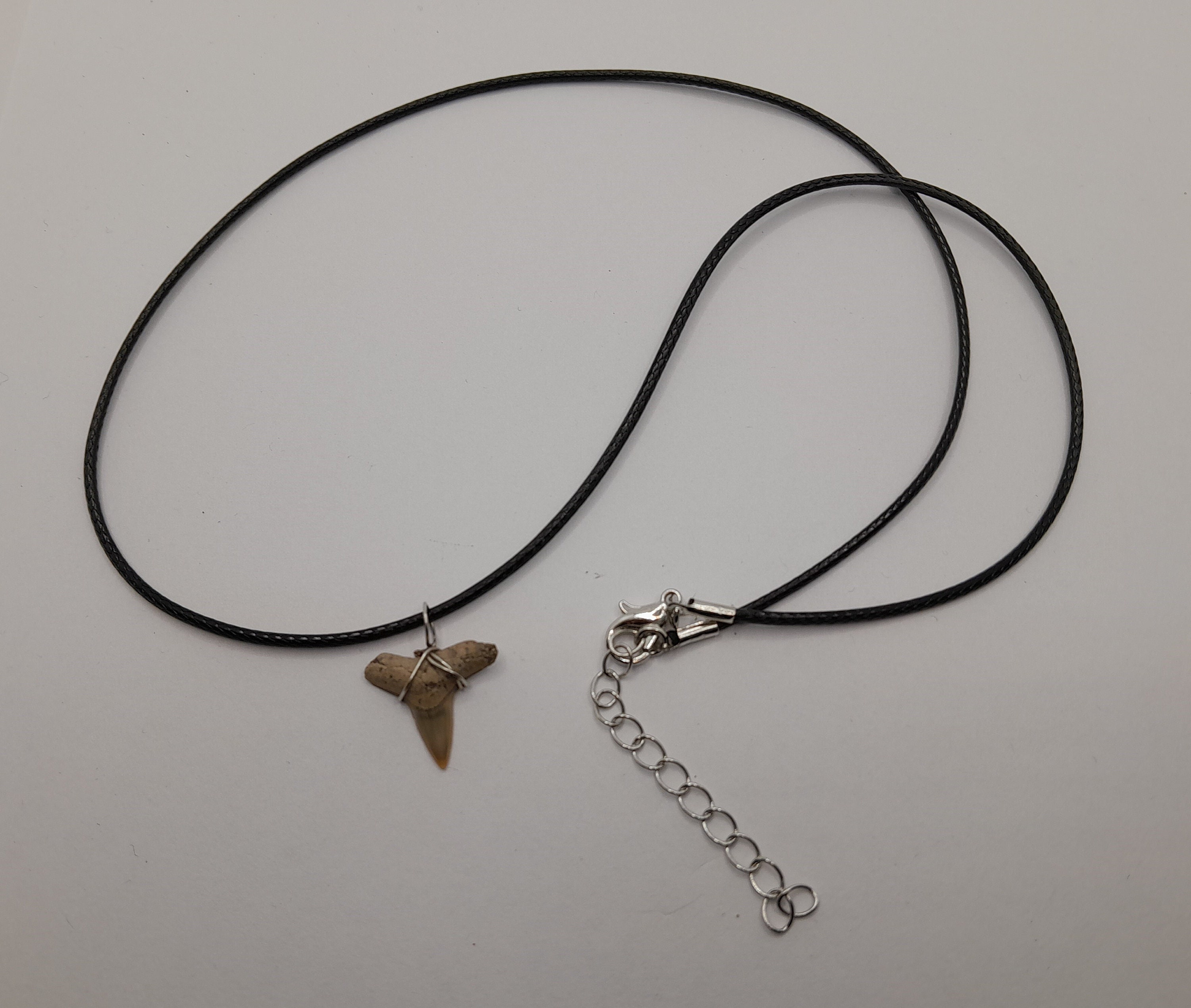 Shark Tooth Necklace — VOYAGE