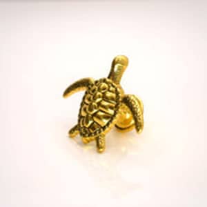 May include: A gold-coloured turtle figurine. The turtle is facing the right side of the image and has a detailed shell.