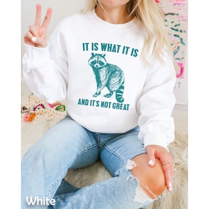 It is What it is and its not great Raccoon Sweatshirt, Mental health, Funny Shirt for Women, Meme shirt Unisex Garment-Dyed Sweatshirt