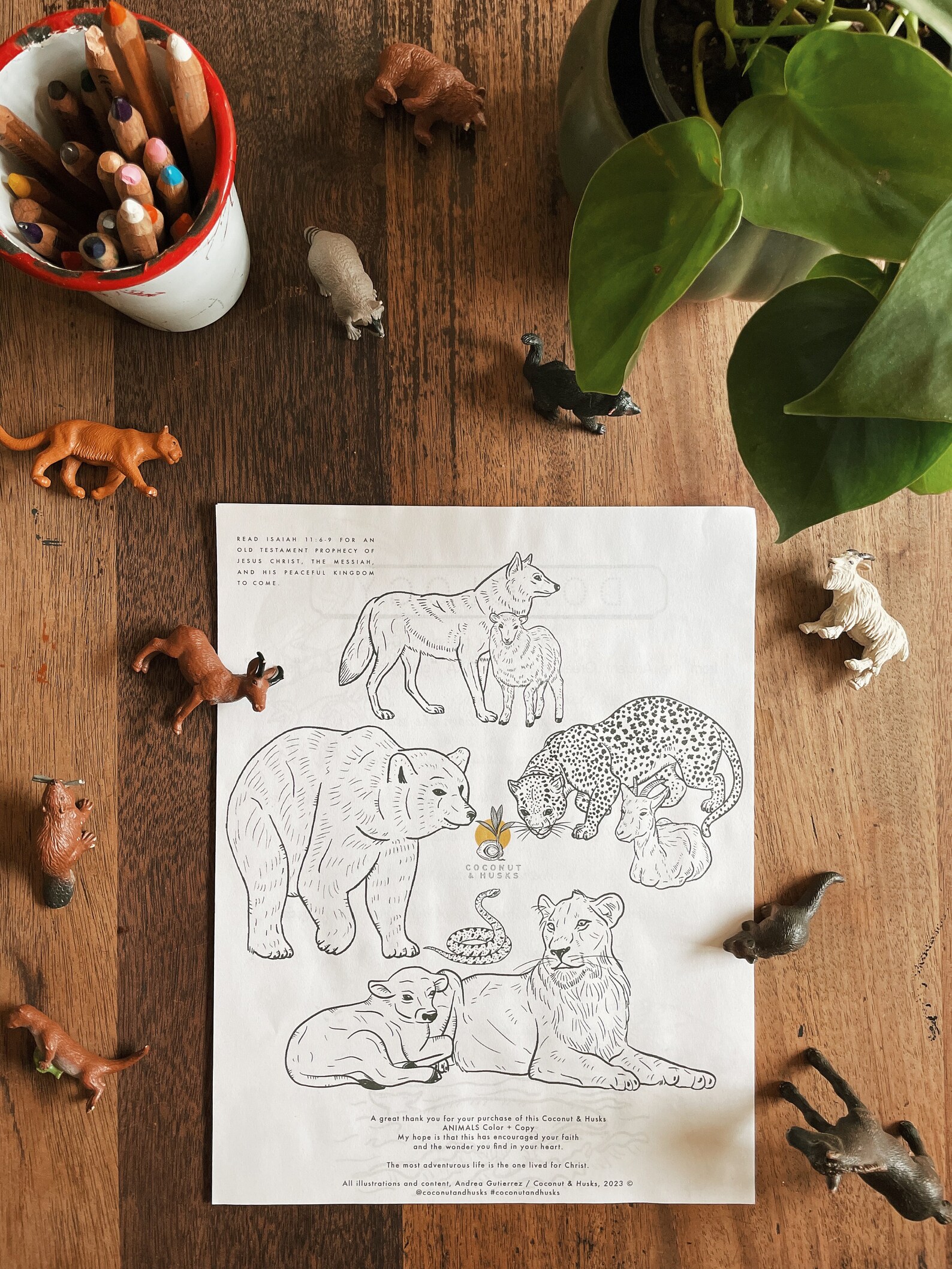 ANIMALS Color + Copy - Etsy