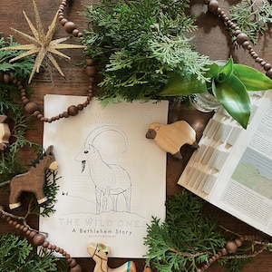 The Wild Ones A Bethlehem Story Activity Booklet