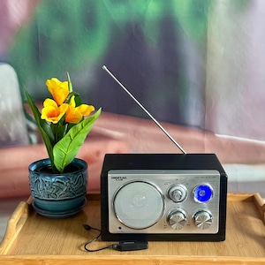 May include: A black and silver Digital Lab FM/AM radio with a single speaker, a silver telescopic antenna, and three circular control knobs. The radio features a blue illuminated circular display and a black power cord with a plug attached.