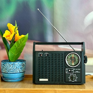 May include: A black portable radio with a long silver telescopic antenna, a circular analogue tuning dial, and a volume control knob. Next to the radio is a blue ceramic planter with a relief leaf pattern containing yellow flowers.
