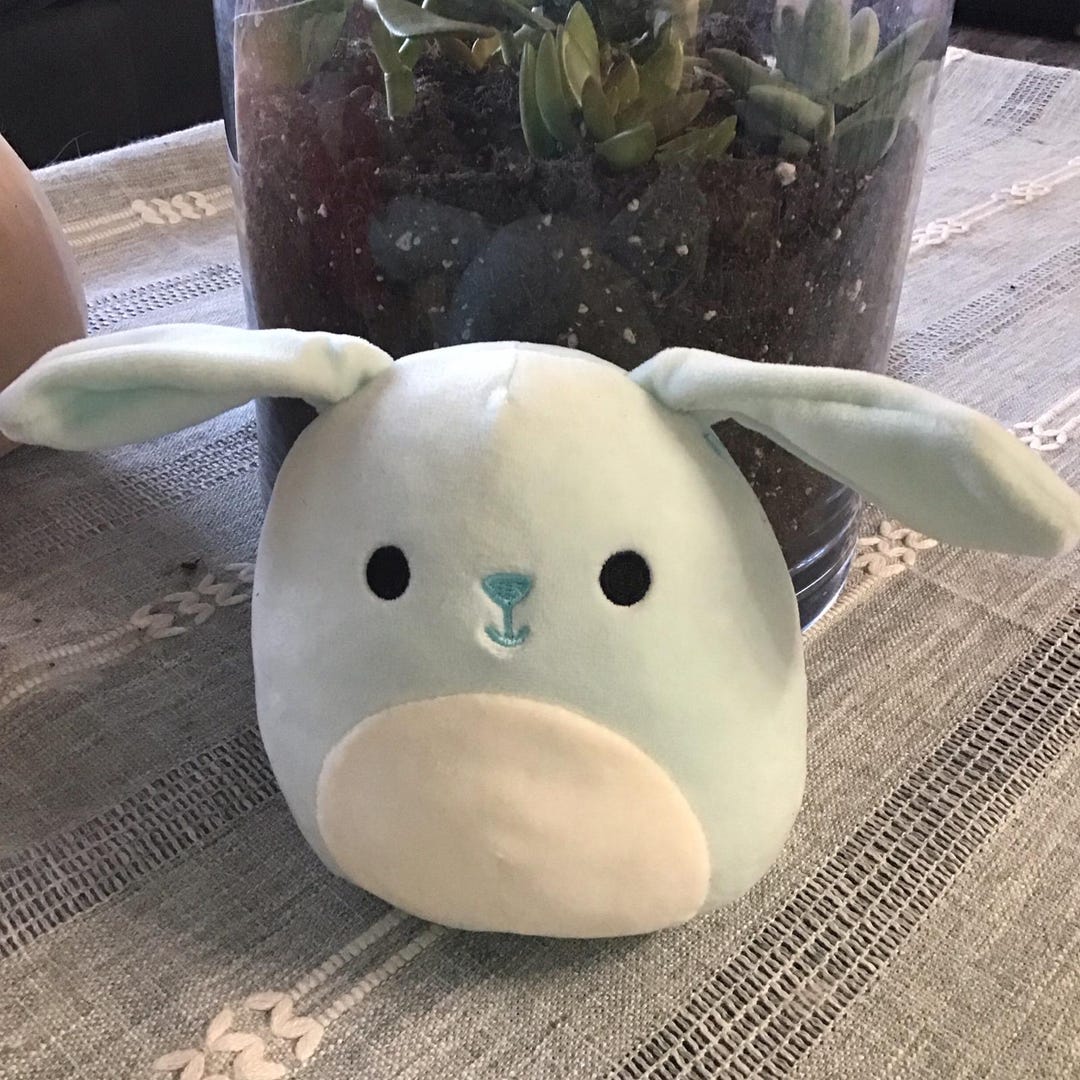 Squi 5” BUTTONS BUNNY RABBIT Blue Squishmallow Plush Toy 2021 - Etsy