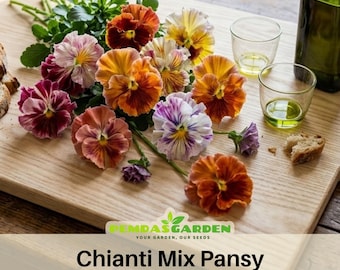 Chianti Mix Pansy Seeds - Cold Resistant - Draft Resistant - Open-Pollinating- Self-Pollinating - Plant in late Spring/Spring