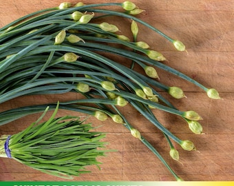 30 Seeds| Chinese Chives Garlic Seeds- Authentic Seeds ~ GMO Free ~ Seeds~Flower seeds~ Vegetable seeds~ Asian Garden~ Herbs  #7028