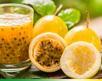 25 Yellow Passion Fruit Seeds – Passiflora Edulis Flavicarpa – Organic Tropical Fruit Vine Seeds for Sweet-Tart Edible Fruits, Easy Grow