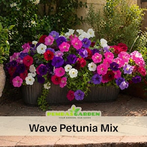 May include: A rectangular planter overflowing with a vibrant mix of Wave Petunia flowers in shades of pink, purple, red, and white. The flowers are in full bloom, creating a colorful display. The text "Wave Petunia Mix" is displayed at the bottom.