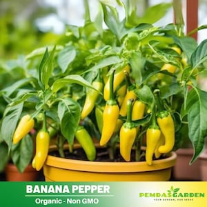 30 Seeds| Pepper Seeds, Banana - Authentic Seeds ~ GMO Free ~ Seeds~Flower seeds~ Vegetable seeds~ Asian Garden~ Flowers~ Herbs   #7027