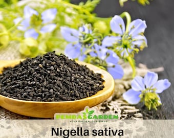 15 Seeds| Black (Charnushska) Cumin  Seeds - Black Cumin - Easy to Grow Garden Spice- Authentic - Heirloom - Pollinator friendly -  #6029