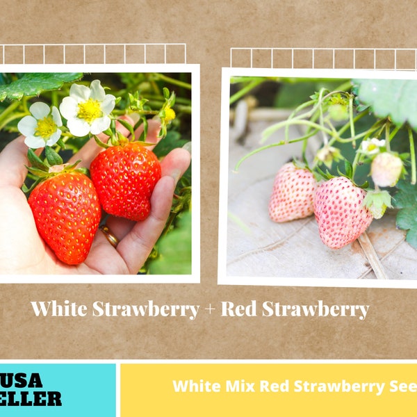 110 Mix Seeds|  White - Red Strawberry Seeds Non-GMO, Open Pollinated, Heirloom for Hydroponics, Aquaponics, Soil, Raised Bed,  Pots#Mix2