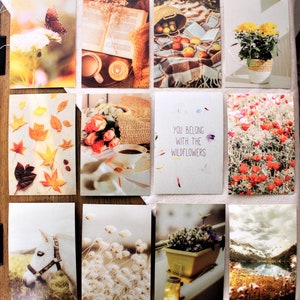 Assorted Cottage Core Aesthetic Postcards | Set of 5 Blank Postcards | Each Postcard 6" x 4"