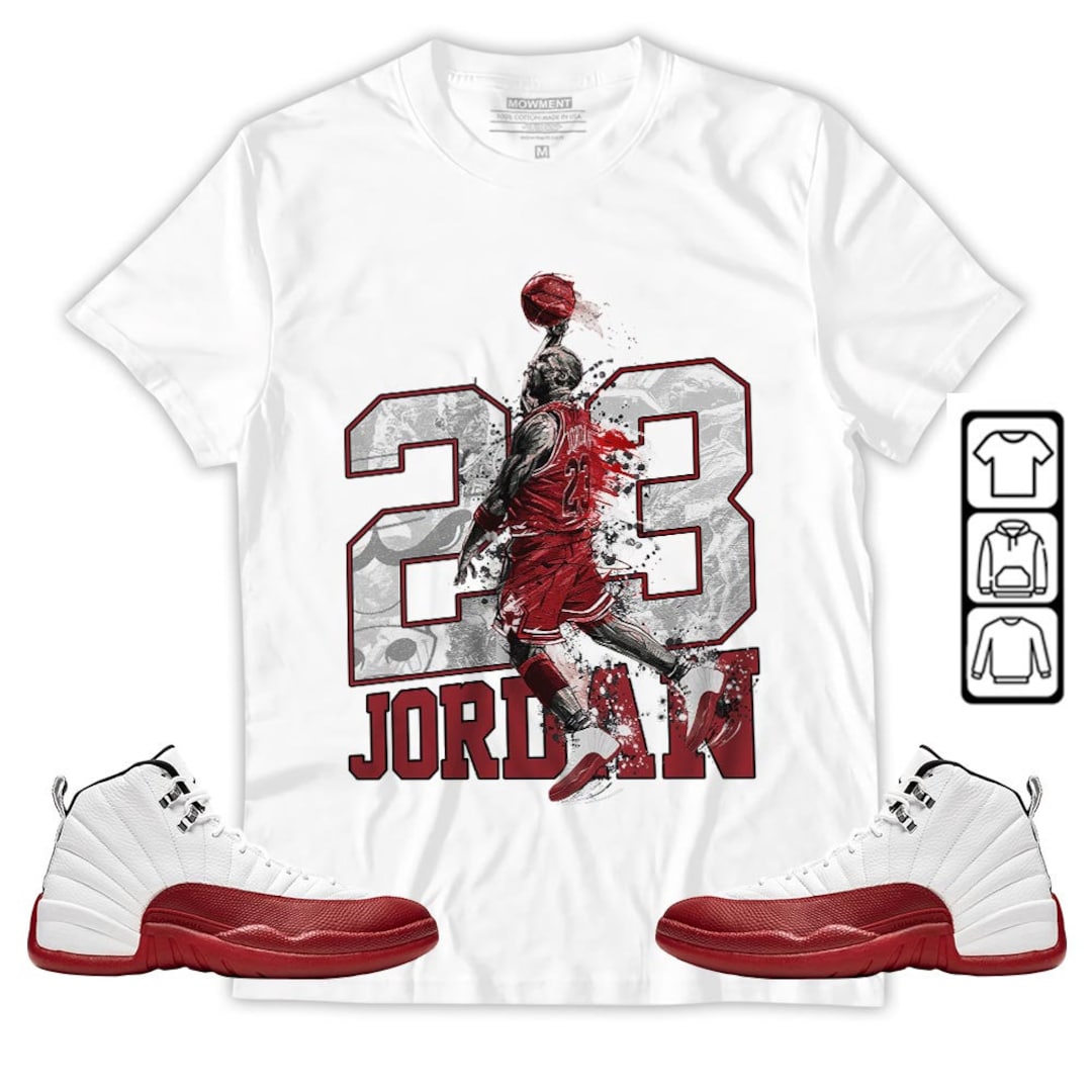 re2pect shirt jordan
