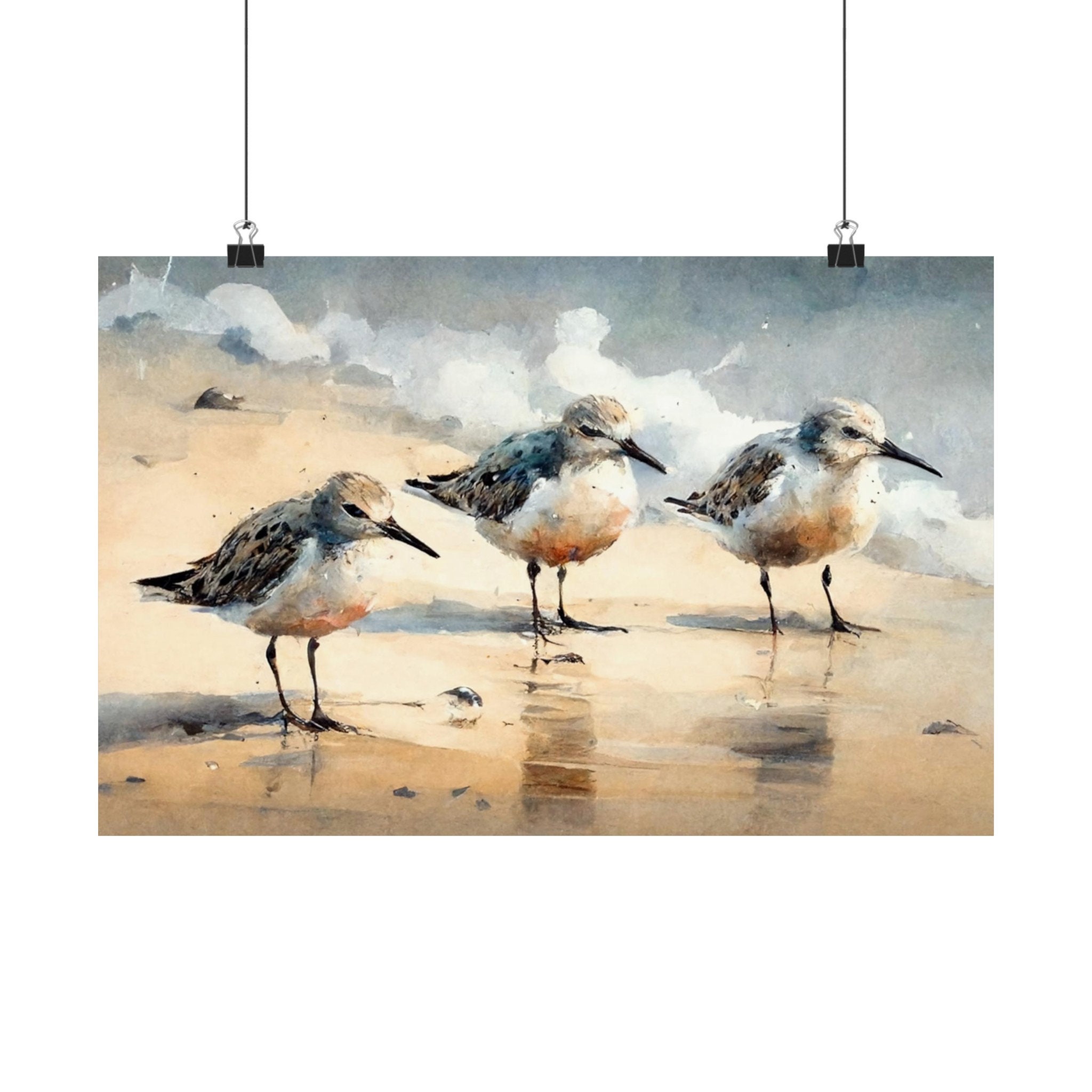 Sandpiper Art Print Poster - Museum-grade Archival Paper, Multiple ...