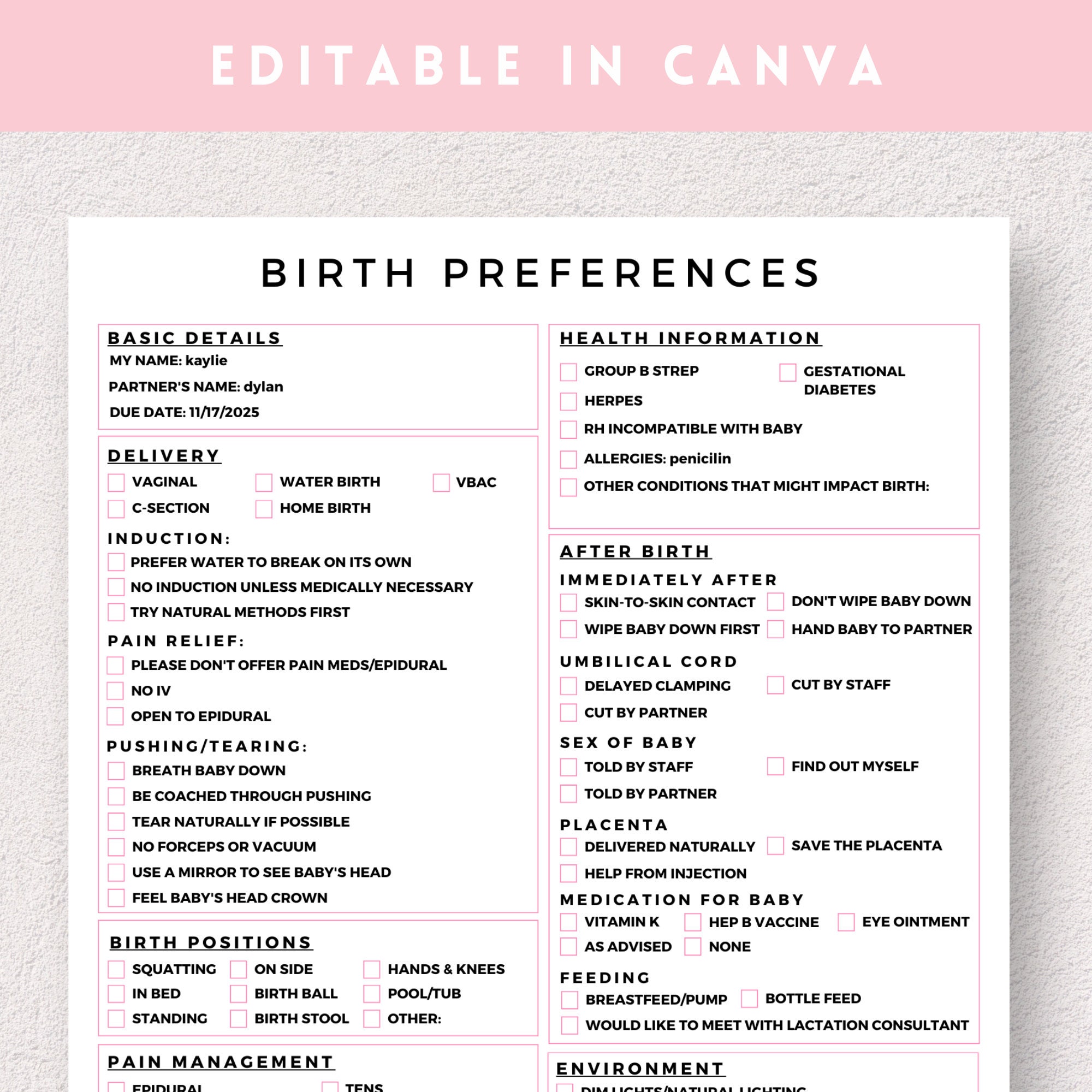 Birth Plan Template Editable Birth Plan Template Printable Birthing ...